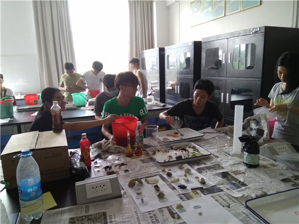 1492504241574259.jpg 实验师分析2.jpg