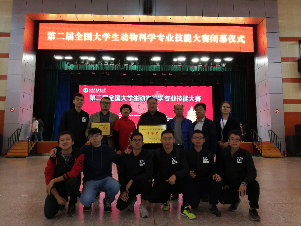 1509670264723837.jpg 大赛现场 - 复件.jpg