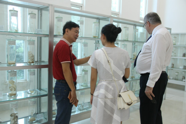 1504835310138209.jpg 参观博物馆.jpg