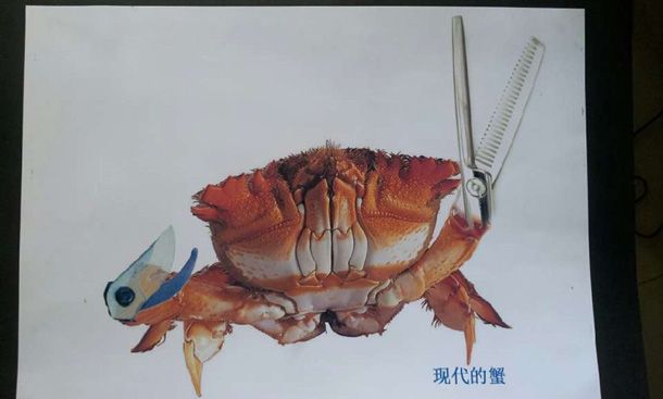 \