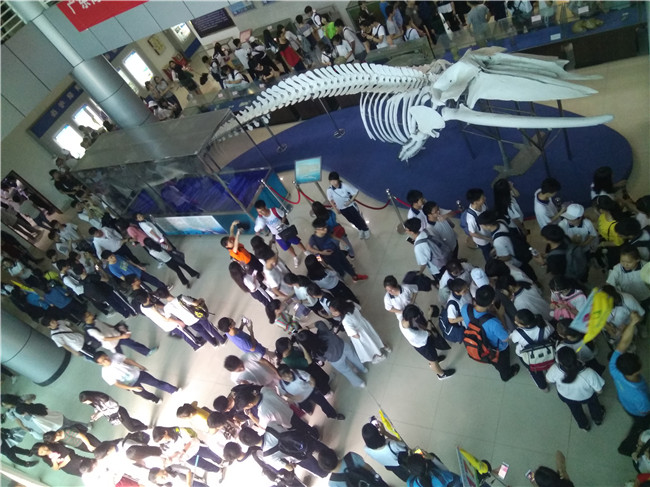 微信图片_20180528083135.jpg 微信图片_20180528083135.jpg