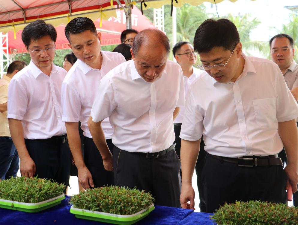 园艺润心 绿美同行 学校举办第二届园艺文化节